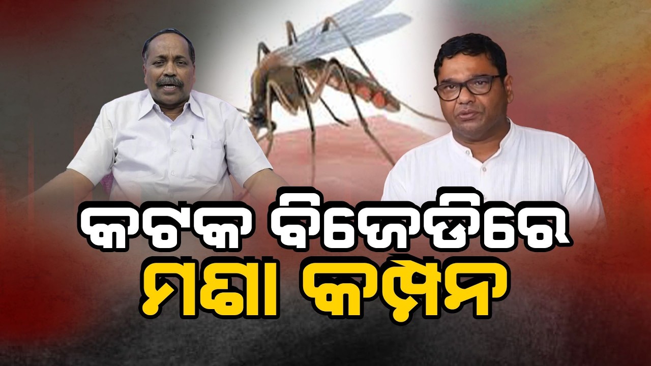 Mosquito Control Row in Cuttack BJD: Debate Over CMC’s Anti-Mosquito Drive | Argus News