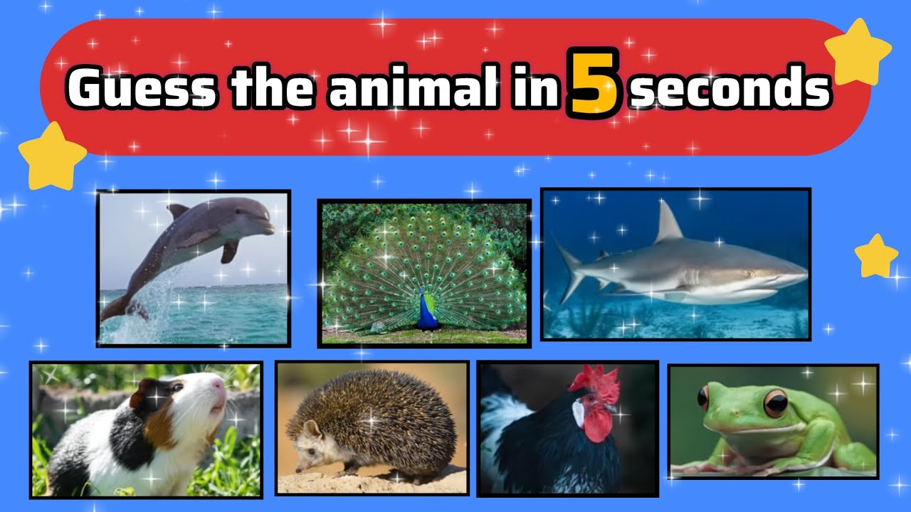 Guess the animal in 5 Second🥸🥸😎😎🥳🥳