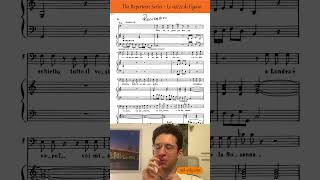 Le nozze di Figaro: Se vuol ballare (1)