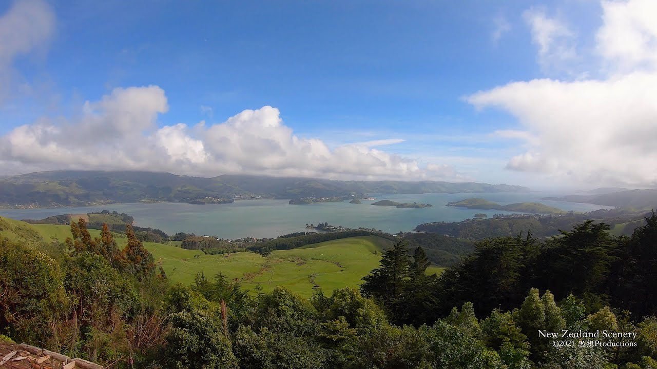 4K Otago Peninsula Wildlife  NEW ZEALAND ニュージーランド 紐西蘭 Part 68