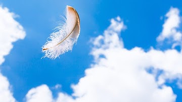 Deep Sleep Music | Calming, Relaxation and Anxiety with Falling Feathers