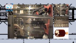 CT Pack Feeding , flow-wrapping and end of line systems