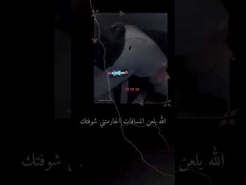 هل شعرتم يوم ا بأن القلب يتذكر حب ا لا يمكن نسيانه الروح حب أبدي نسيان مستحيل عشق باقي