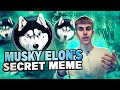 MUSKY Project Review - Elon&#39;s Favorite Secret Meme 🤫