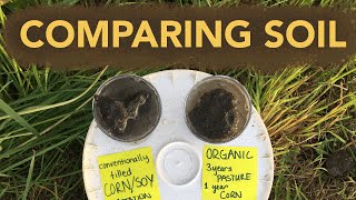 Celebrity Comparing Soil Structure Net Worth