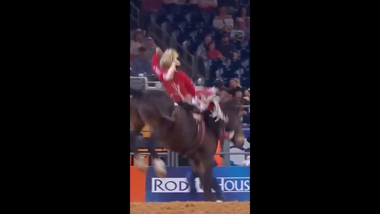 Rocker Steiner vs.  Bailey Pro Rodeo's Warning Shot