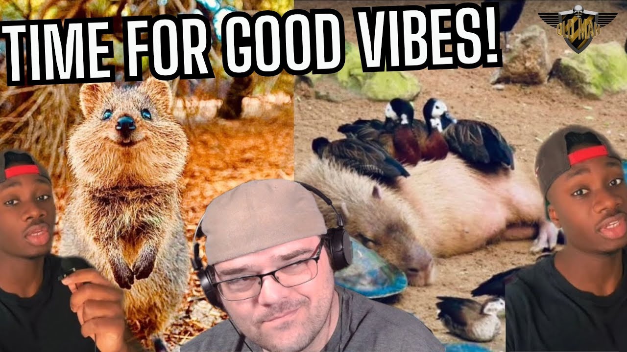 Good Vibes Time - Top 10 Most Wholesome Animals from Casual Geographic! - Reaction