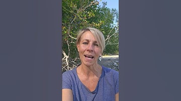 The Universe is speaking to you—through signs, symbols, and synchronicities. ✨  #EverydayMagic