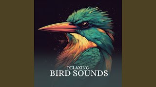 Kingfisher, Bagian 2