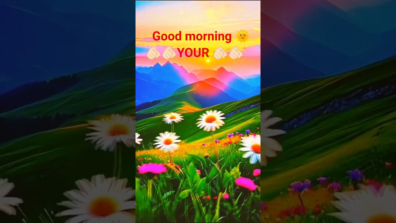 good morning 🌞🌞 everyone #motivation #video #everyone #everyday #follow #my#channel #🙏🙏🤗