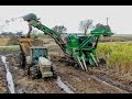 John Deere's 2 Row CH960 Cane Harvester 4K