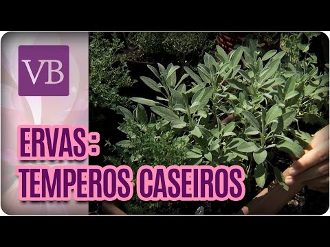 Vídeo: Ervas para grelhar: Cultivando um jardim de ervas para carnes e marinadas