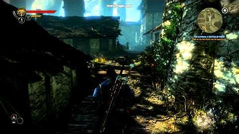 The Witcher 2 (Ubersampling on)
