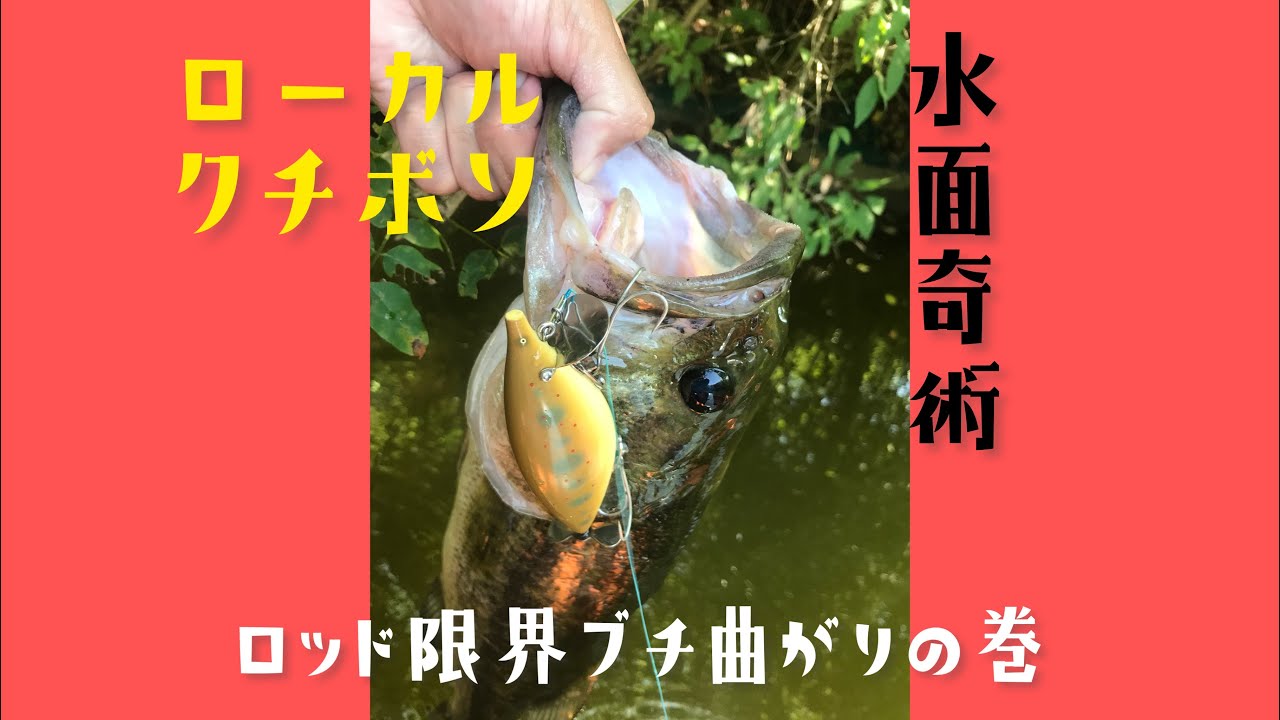 Water surface magic #14 Local minnow Rod bends to its limit 5