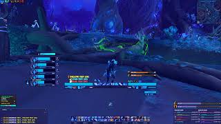 New ElvUI Setup!