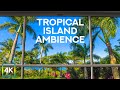 Calming Tropical Ambience - 4K Virtual Window to Beach with Palm Trees - Birds &amp; Ocean Breeze Sounds