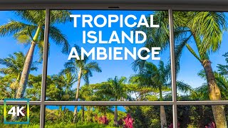 Calming Tropical Ambience - 4K Virtual Window to Beach with Palm Trees - Birds &amp; Ocean Breeze Sounds