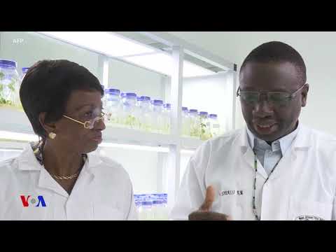 ივანკა ტრამპი ეთიოპიაში ქალ მეწარმეებს შეხვდა