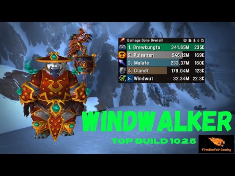 WoW 10.2.5 - Best Wind Walker Monk Build -  HUGE damage!!!!