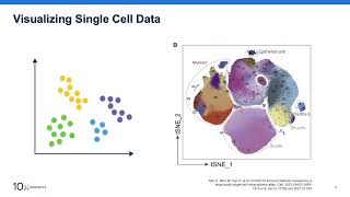 Improving Single Cell RNA Seq Workflow Efficiency to Scale Clinical Research