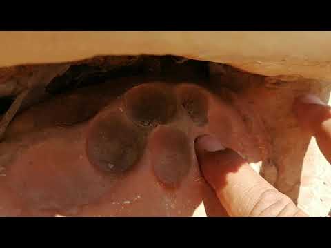 اشاره مخفيه تم الكشف عليها وتدل على مدفن مهم جدا جدا بصمات تثبيت المدافن المهمه