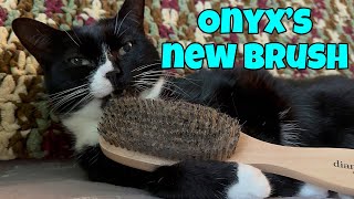 Onyx’s New Brush