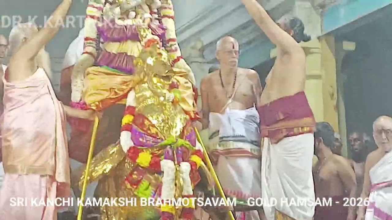 SRI KANCHI KAMAKSHI BRAHMOTSAVAM - GOLD HAMSAM - 2026