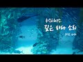 ASMR / 9시간 / 마음이 차분해지는 깊은 바닷속 소리2 / 바다 / White Noise / Underwater / Sea Sound / 1분 후 검은 화면 / 물고기