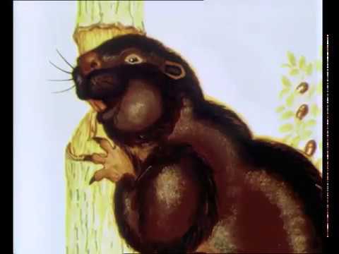 Мультики:  Хомяк-молчун