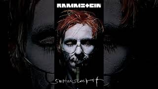 Download Lagu Every band member album cover on sehnsucht #rammstein #sehnsucht MP3