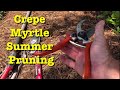 Pruning Crepe Myrtles In The Summer