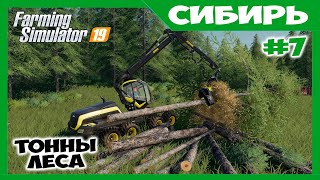 Расчистка участка под новое поле // Сибирь ч.7 // Farming simulator 19