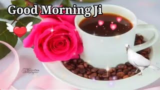 Good Morning status , 🌹Good Morning shayari ,🌹 Good Morning video ,🌹 Good Morning