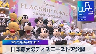 日本最大のディズニーストア公開 海外の商品も取り扱い 21年12月3日 Youtube
