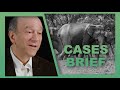 Richard lazarus on lujan v defenders of wildlife