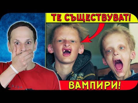 Видео: Откъде идват мемите?