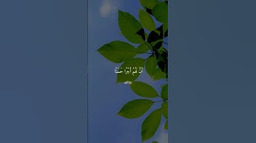 #سورة_الكهف #القران_الكريم #اكسبلور #القران #quran #القاريء #احمد_العجمي