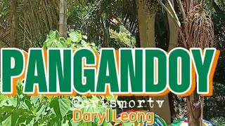 Pangandoy ( with lyrics ) by Daryl Leong