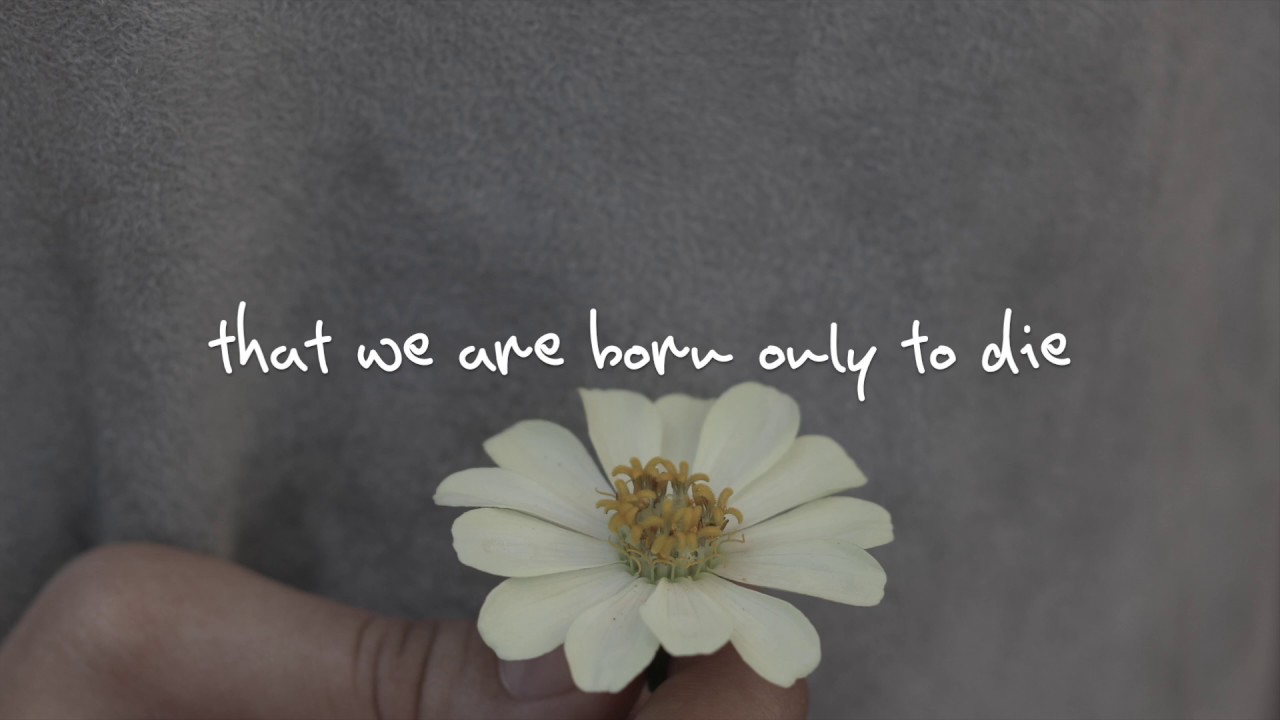 Kina Grannis ft. Imaginary Future - I Will Spend My Whole Life Loving You (lyrics) accordi
