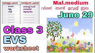 Victers Class 3 EVS worksheet June 29 Malayalam medium