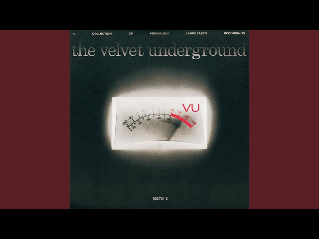 The Velvet Underground - Andy's Chest