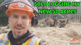 Logging Solo On My New 50 Acres Of Timber Land