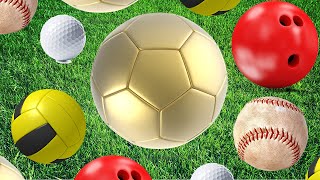 Easy English Learn Sports Balls For Everybody