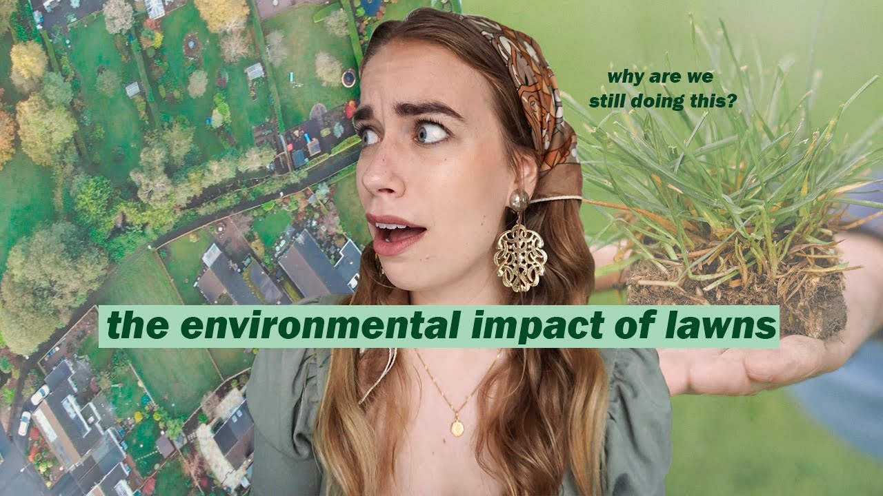 THE IMPACT OF LAWNS // environmental and cultural consequences of