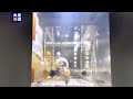 Zebrafish and goldfish in space experiment on tiangong space station
