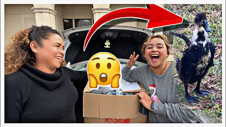 NUESTRA PRIMERA VEZ COMPRANDO REGALOS PARA LA NAVI...