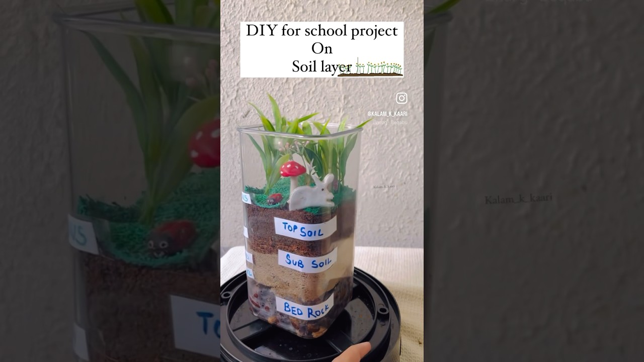 School project on soil layer/ 3D model on soil layer |diy on soil layer | class 3 | science project