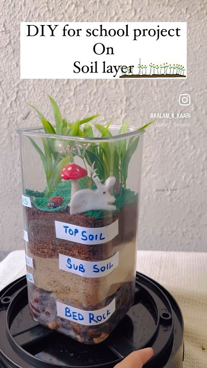 School project on soil layer/ 3D model on soil layer |diy on soil layer | class 3 | science project