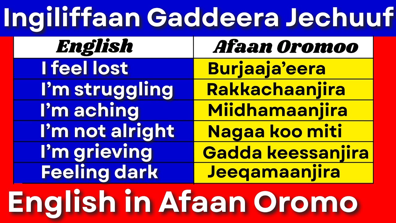 Ingiliffaan Gaddeera Jechuuf (English in Afaan Oromo) #learnenglish #hirkoo #spokenenglish