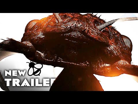 Dead Ant Trailer (2017) Sean Astin Komedifilm